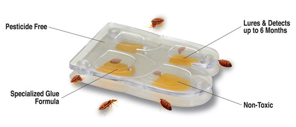 Home 4 Pack